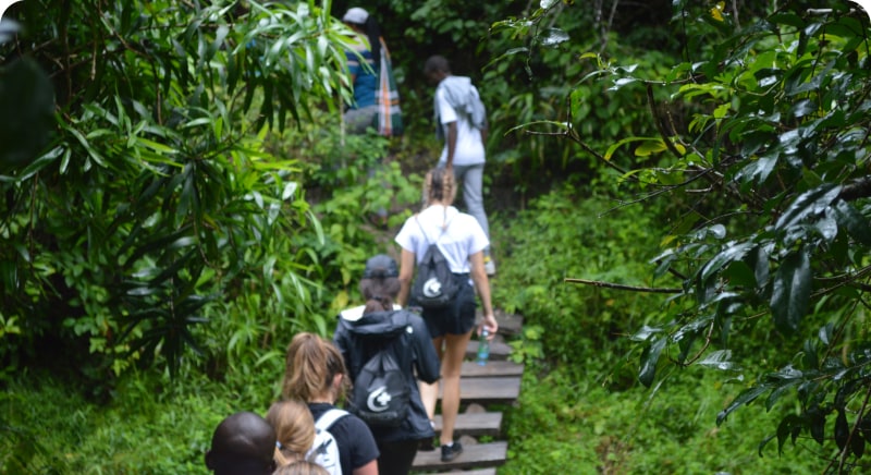 IMA Medical Internship Programs - Global Healthcare Training Opportunities