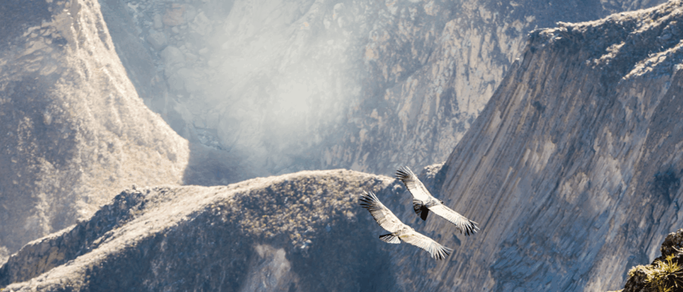 Colca-Canyon