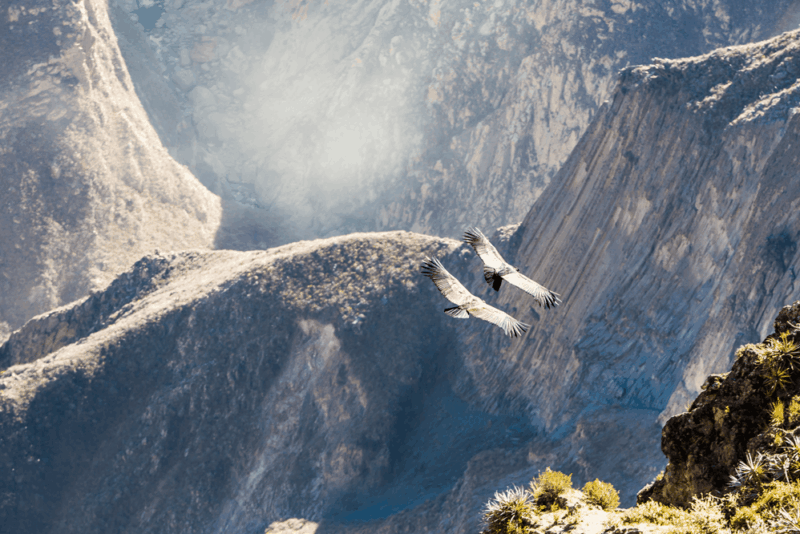 Colca-Canyon