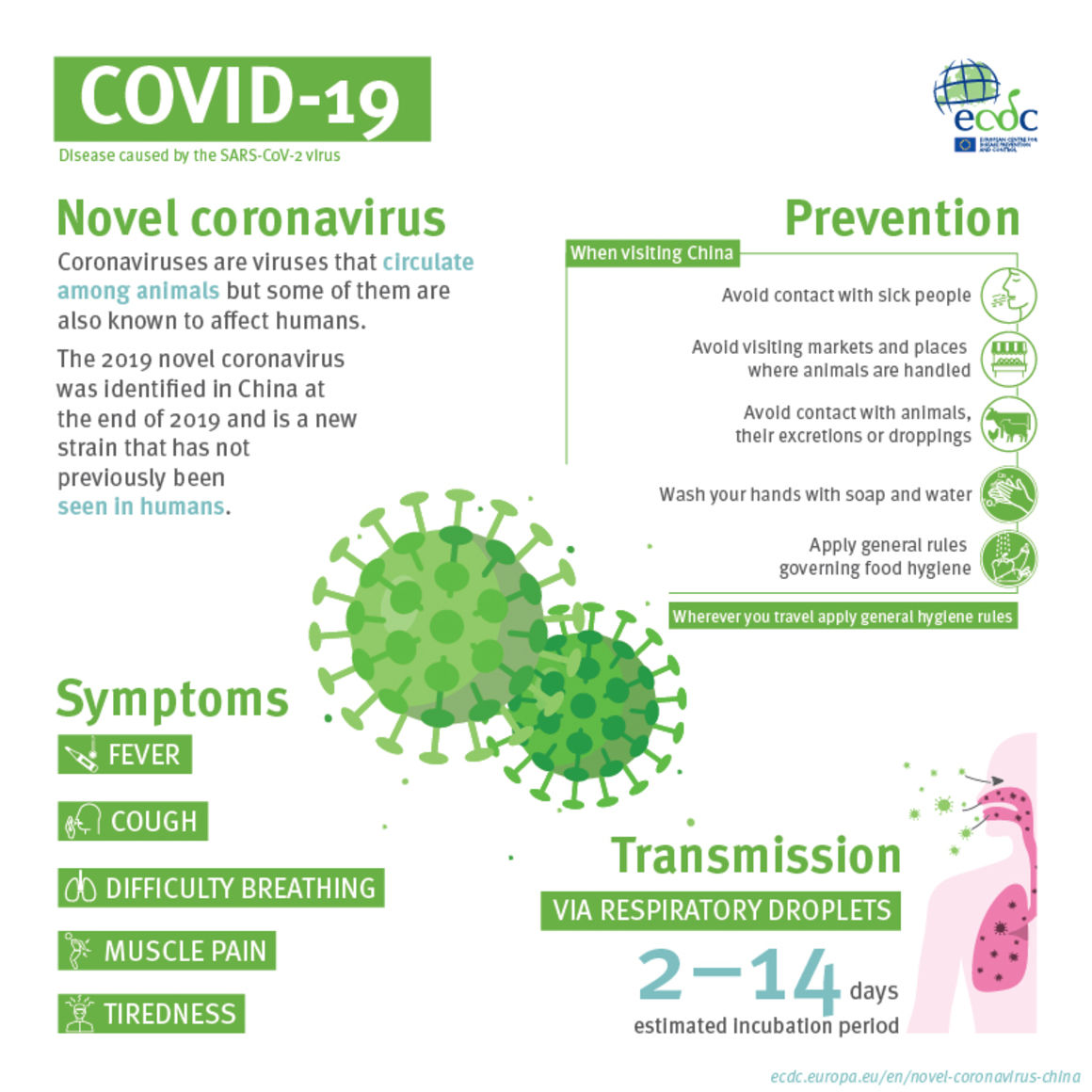 Everything You Need to Know About Coronavirus
