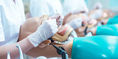 How to Become a Dentist in 2024: Training, Licensing, and Certification Requirements