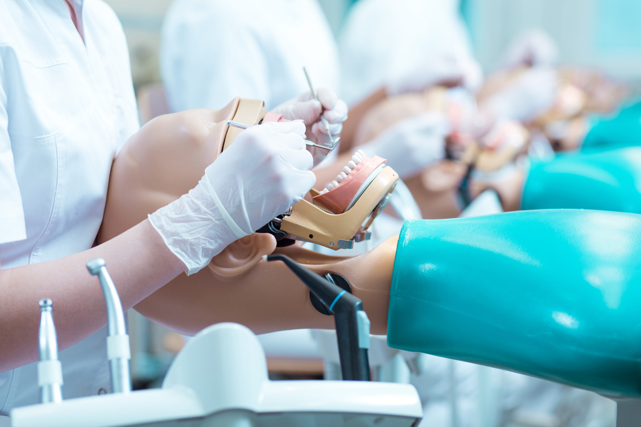 How to Become a Dentist: Training, Licensing and Certification Requirements