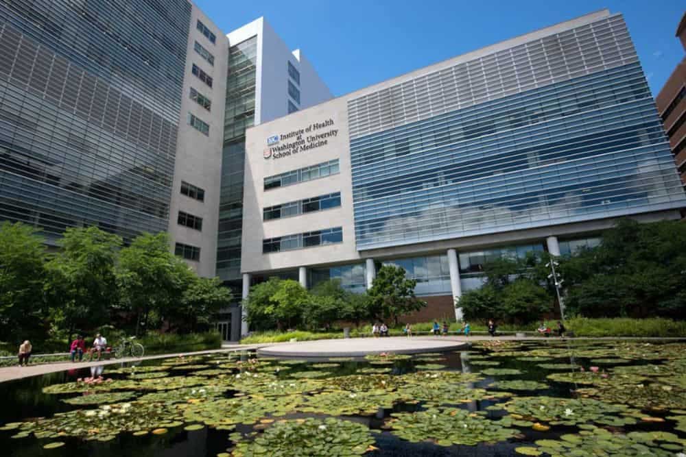 How To Get Into Washington University School Of Medicine The 