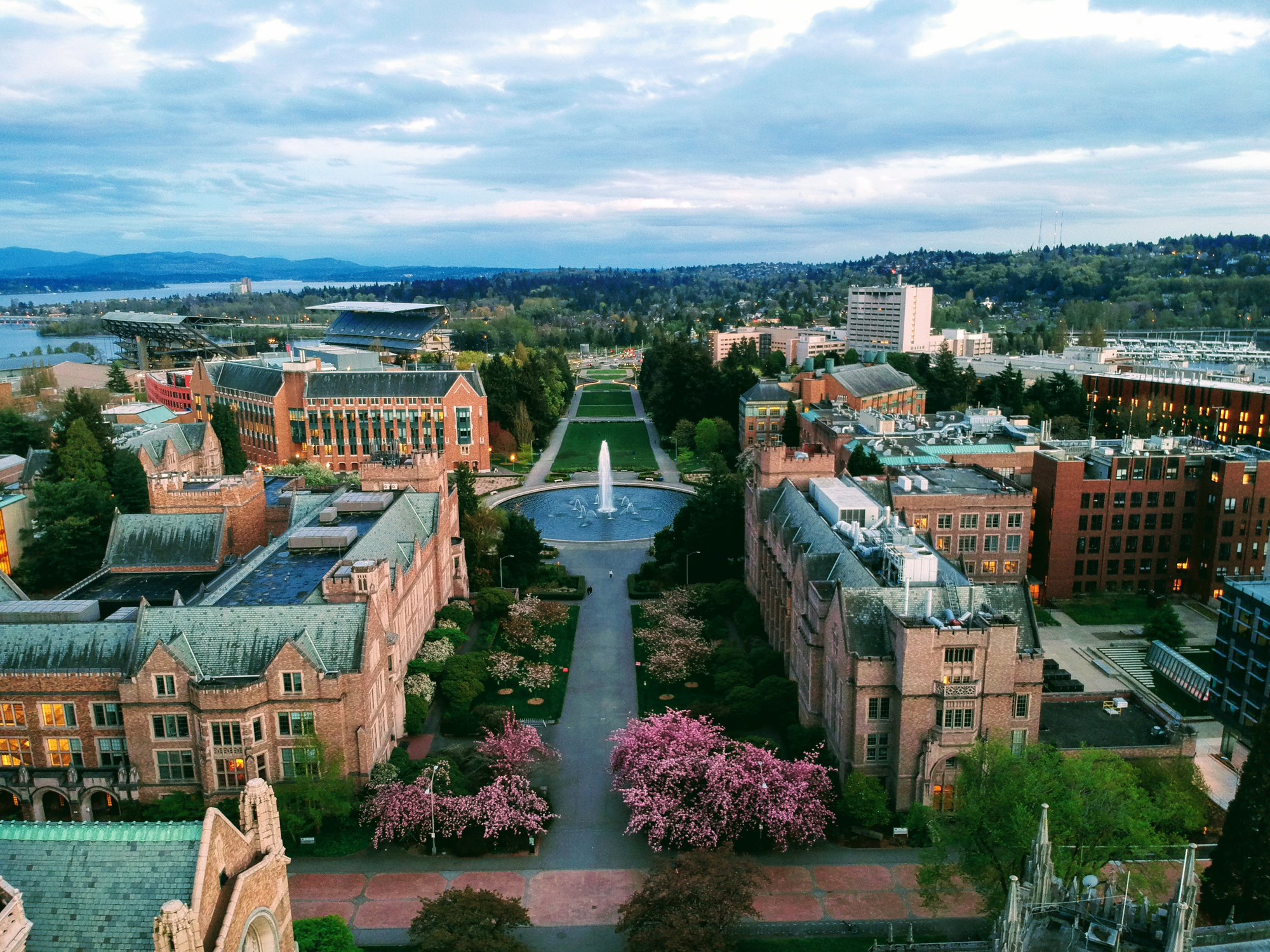 Pre-Med-at-University-of-Washington