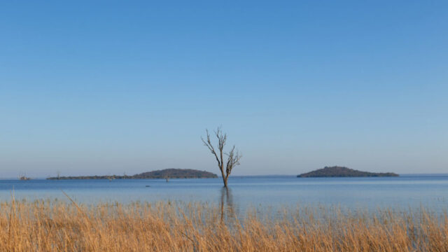 Kafue National Park