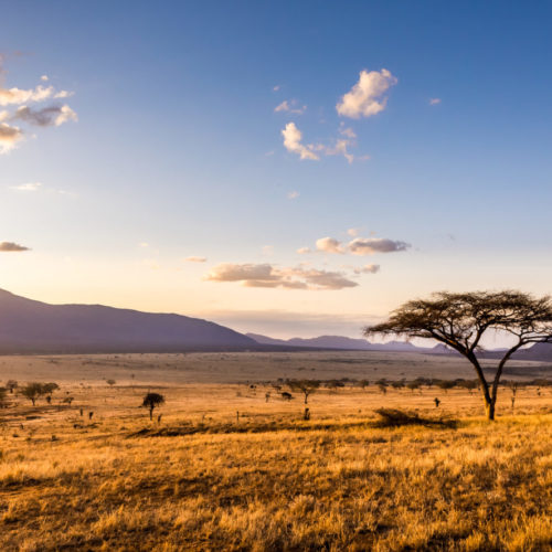 Tsavo & Amboseli National Park