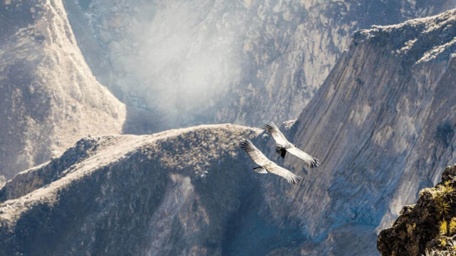Colca Canyon