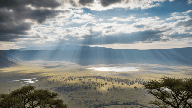 Ngorongoro Conservation Area
