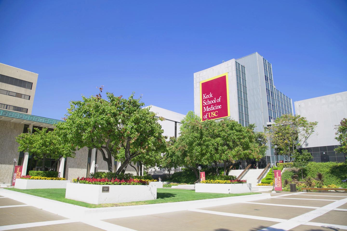 How to Get Into USC Keck School of Medicine: The Definitive Guide