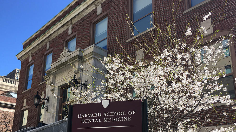 Best Dental School-Harvard University School of Dental Medicine