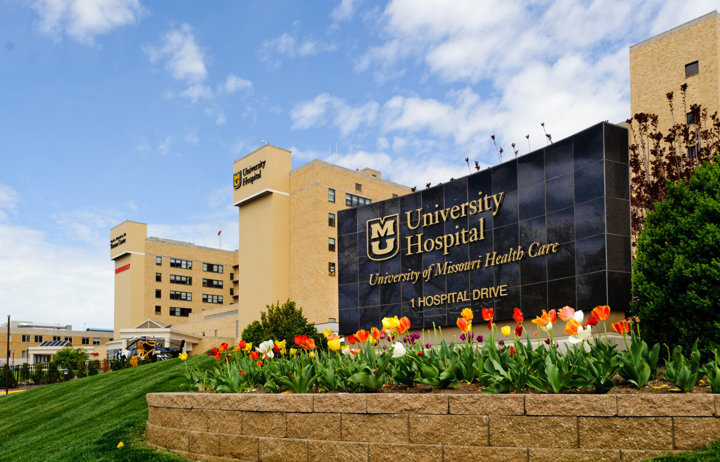 How to Get Into University of Missouri Medical School: The Definitive Guide (2022)