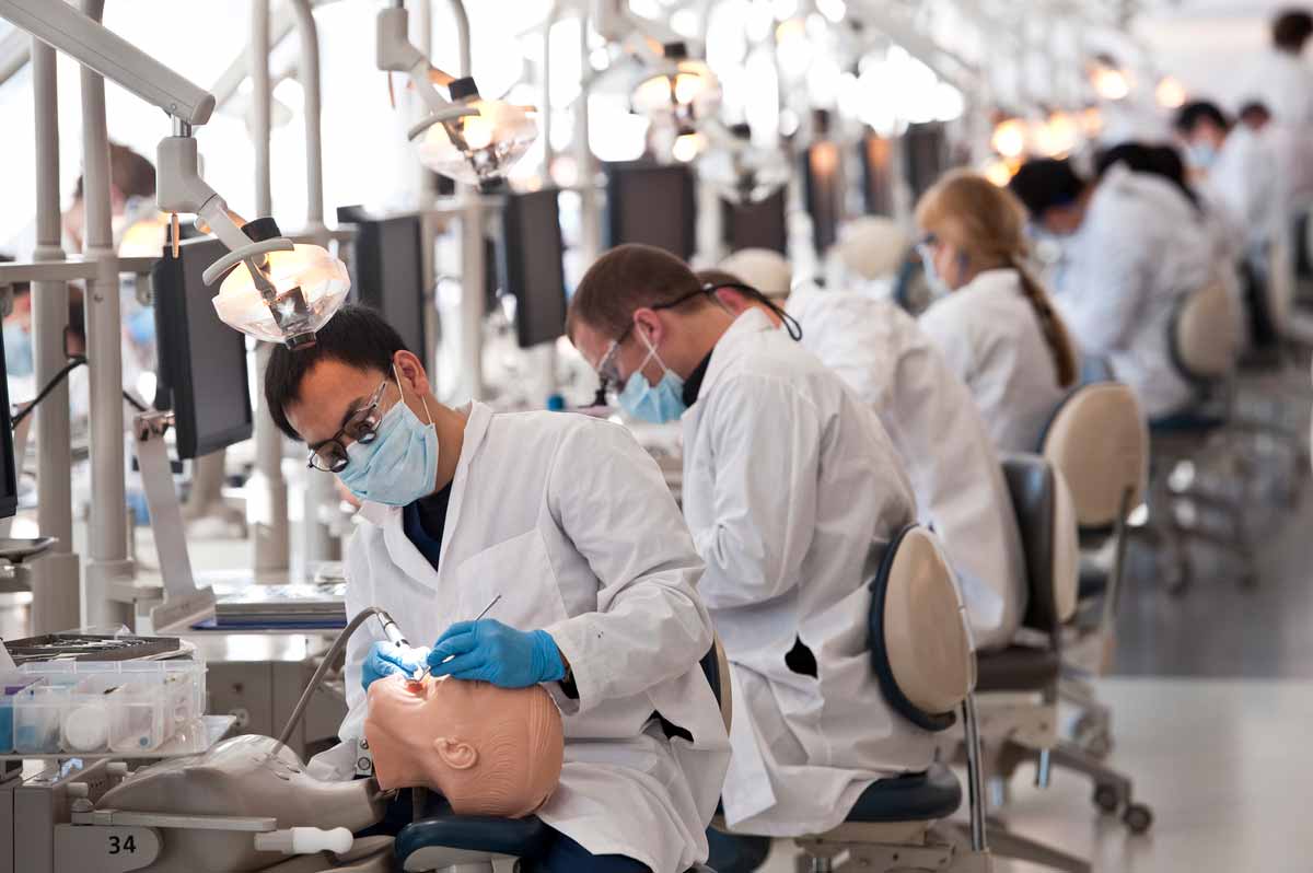 Dental School Acceptance Rates: The Definitive Guide (2023)