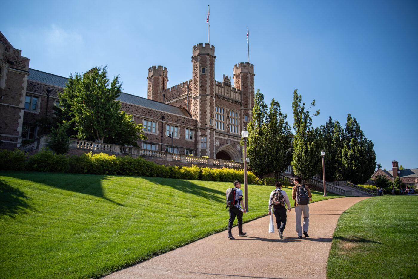 Washington University St Louis School of Medicine