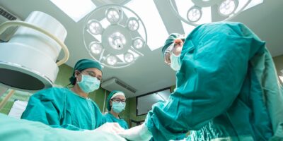 3D Anatomy Models in Medical Training