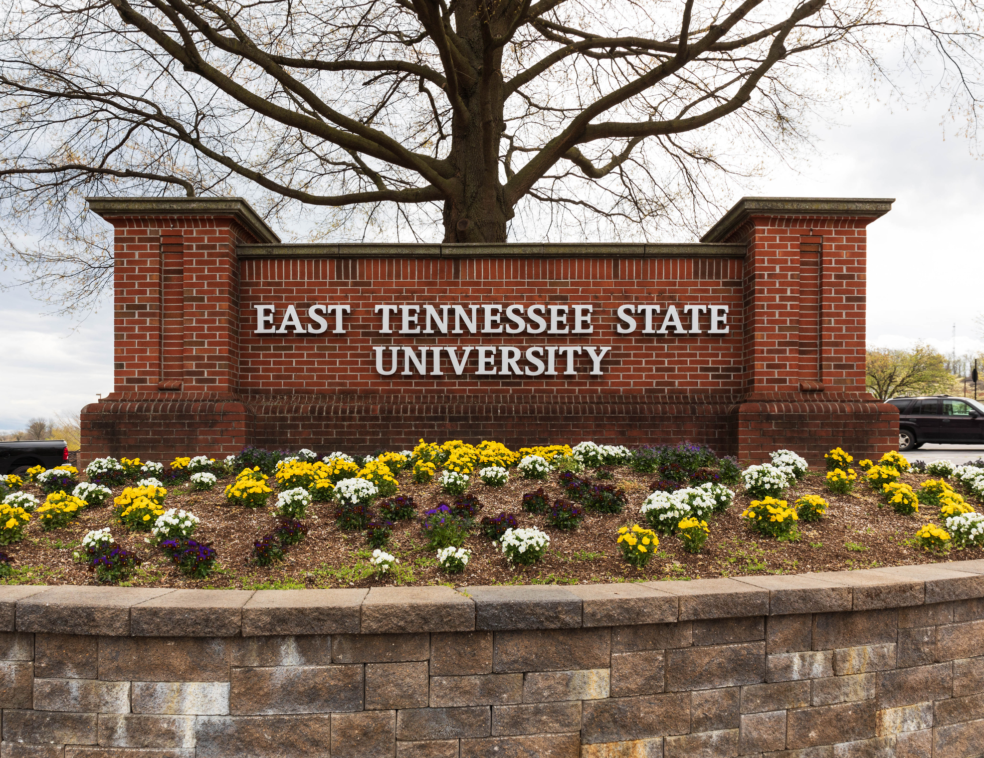 How to Get Into East Tennessee State University James H. Quillen College of Medicine: The Definitive Guide (2024)