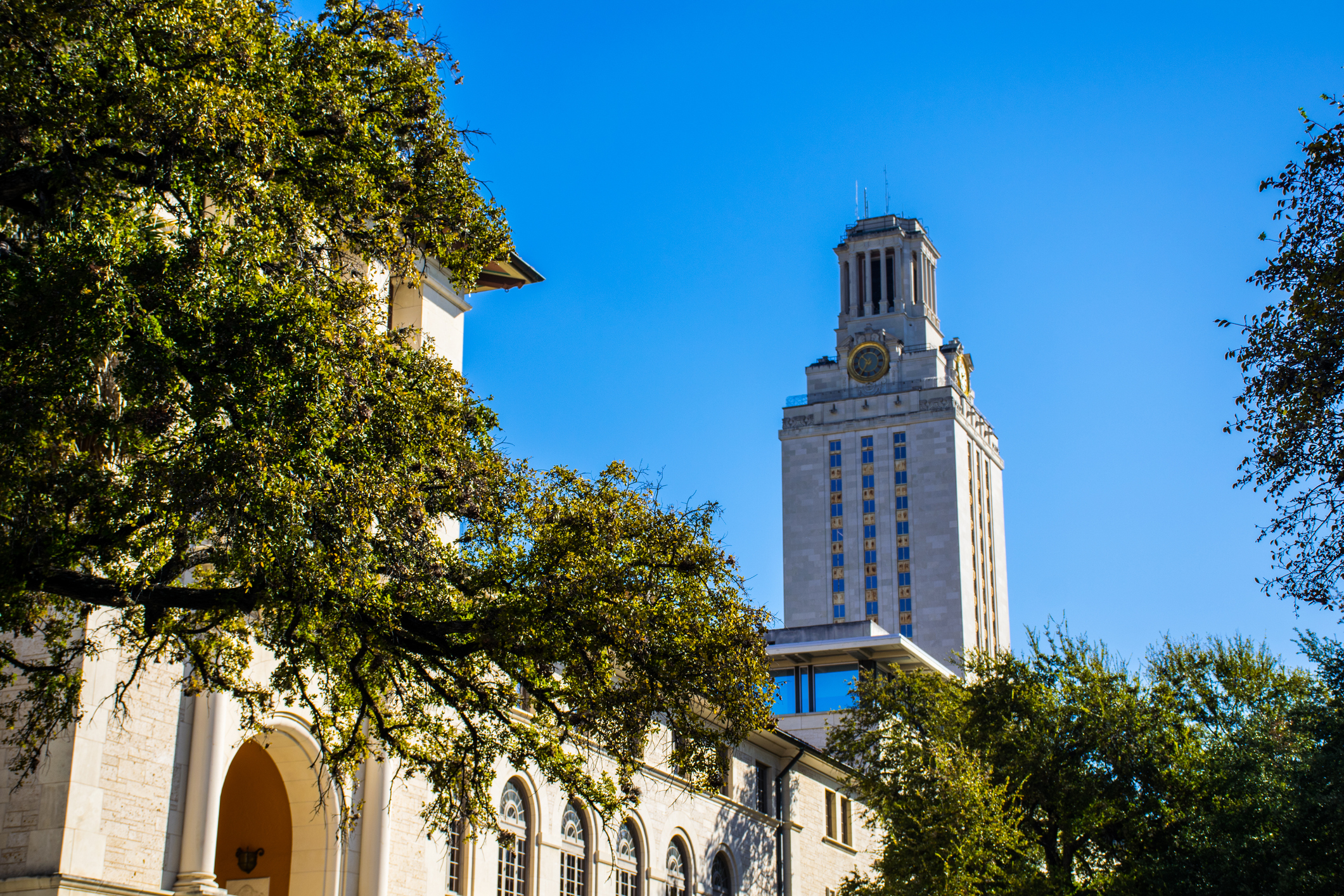 How to Get Into The University of Texas at Tyler School of Medicine: The Definitive Guide (2024)