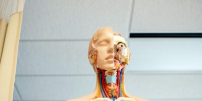Thinking About Healthcare? How to Choose the Right Area of Study for You