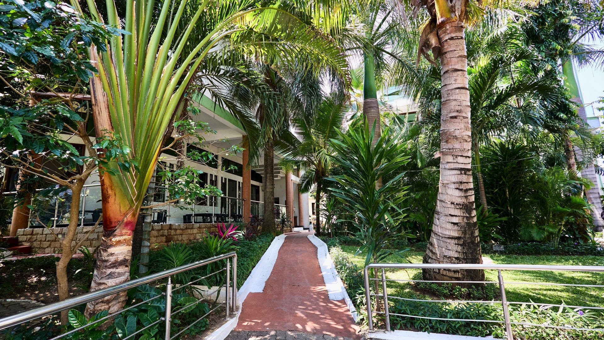 A pathway leads through a lush, tropical garden with tall palm trees and dense greenery.