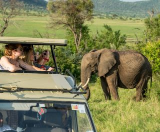Balancing Learning and Adventure