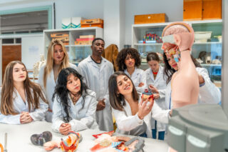 PA Internships That Build the Experience You Need for School