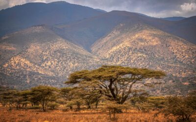 Tanzania | Global Healthcare Initiatives