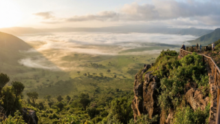 East Africa safari landscape at dawn