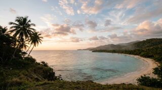 Caribbean coastline at golden hour, turquoise water and palms