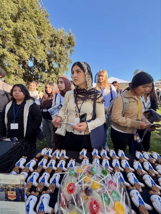 Pre-health students with conference lanyards reading IMA brochures at the fair